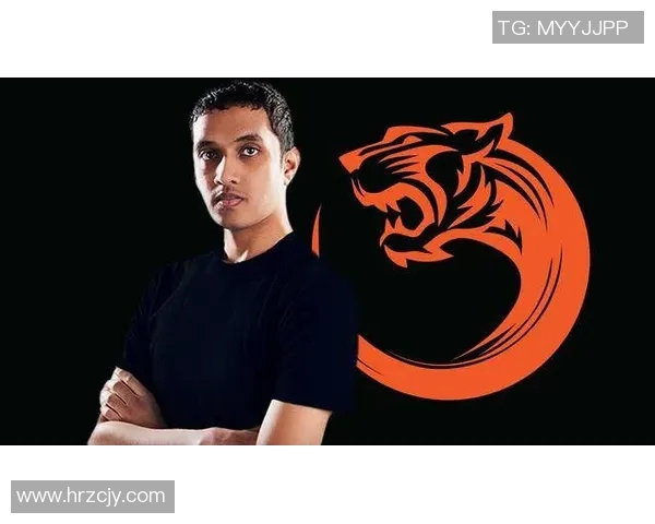 独家解析EDG战队配合策略与其他战队的差异与优势分析